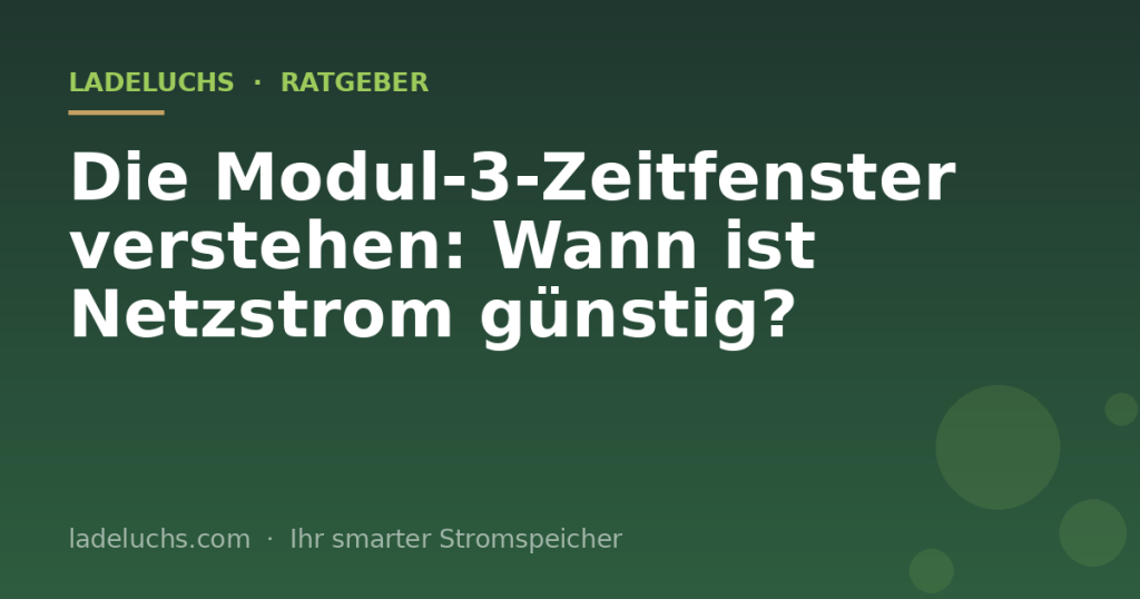 Die Modul-3-Zeitfenster verstehen: Wann ist Netzstrom günstig?