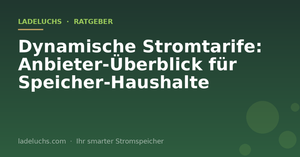 Dynamische Stromtarife: Anbieter-Überblick für Speicher-Haushalte
