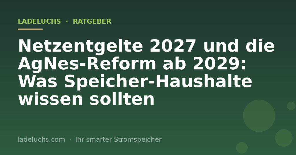 Netzentgelte 2027 und die AgNes-Reform ab 2029: Was Speicher-Haushalte wissen sollten