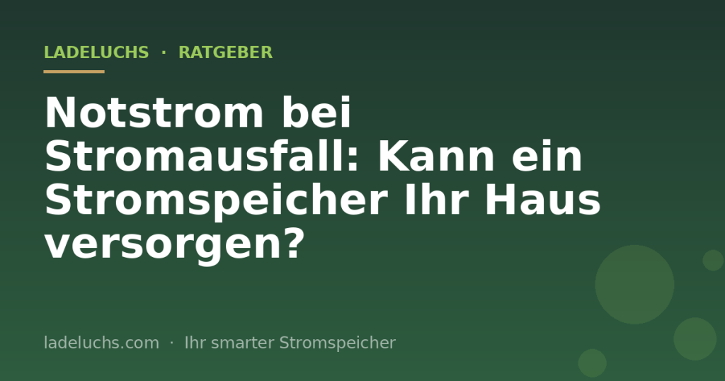 Notstrom bei Stromausfall: Kann ein Stromspeicher Ihr Haus versorgen?
