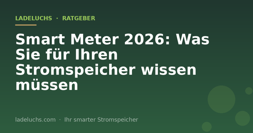 Smart Meter 2026: Was Sie für Ihren Stromspeicher wissen müssen
